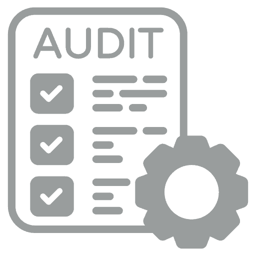 it audit process